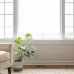 A sunlit living room window with new white trim, a cozy armchair, and a houseplant, creating a finished and inviting look.